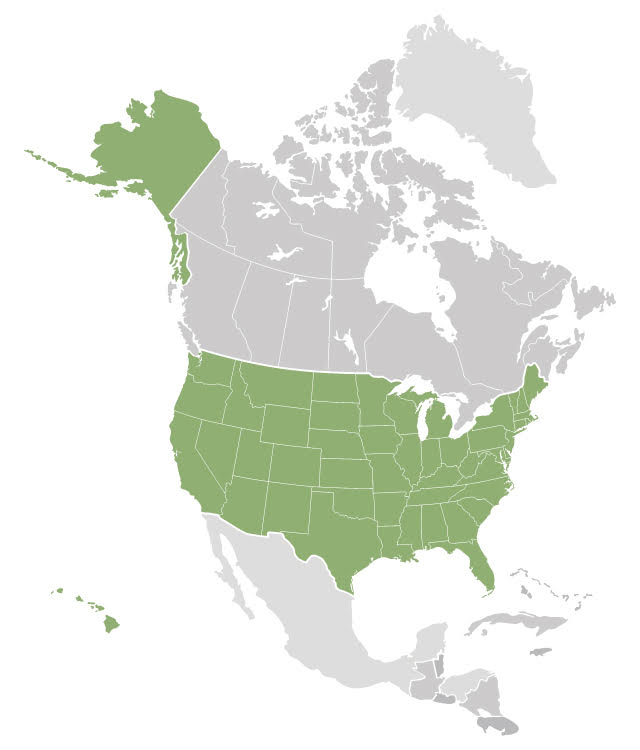 USA patient map